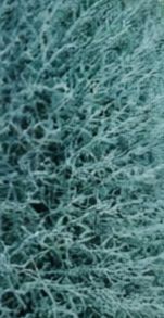 BP_COLOR_04