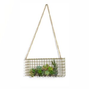 Cartera de suculentas